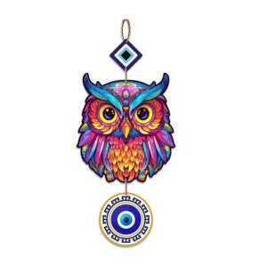 Vastu Protector Owl Evil Eye Wall Hanging